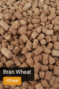 Product Wheat Bran Yellowrock